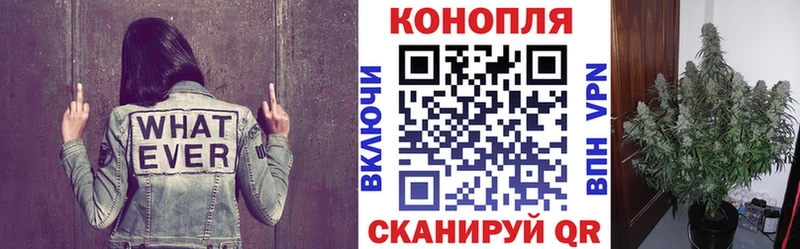 kraken рабочий сайт  Волгореченск  Бошки Шишки White Widow  что такое наркотик 